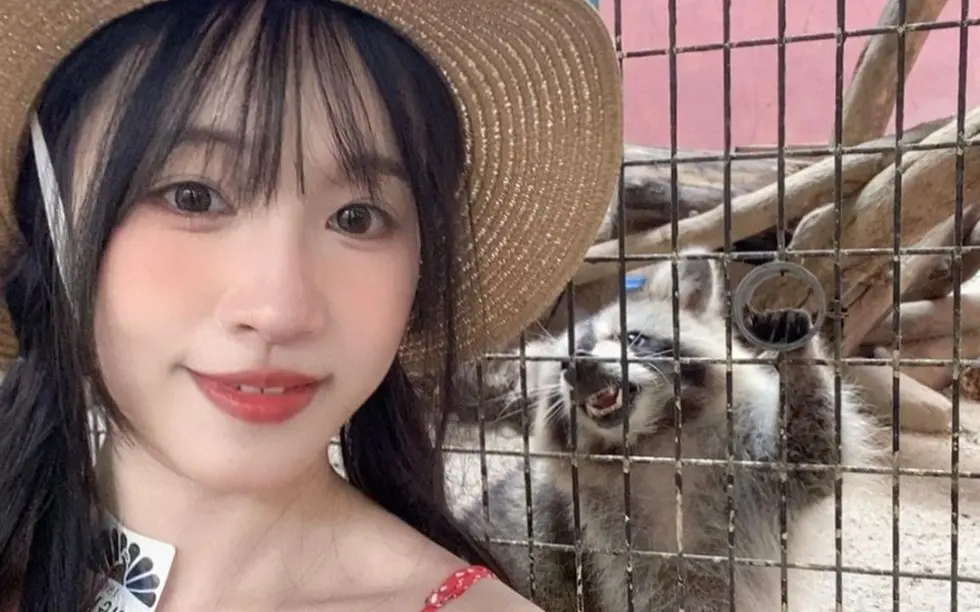国产女神苏畅Vlog视频大全-《苏畅》无删减版全集在线观看-1080P高清版免费观看
