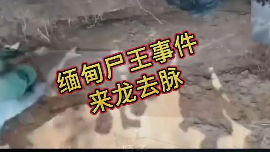 《缅甸僵尸出土事件视频》在线观看 - 缅北僵尸出土事件完整版免费播放 - 诡异真相解密视频无删减高清下载