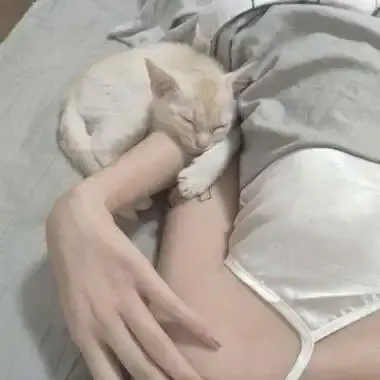 森泽佳奈高清全集-1080P蓝光无删减-中文配音无广告在线观看-百度网盘夸克迅雷下载